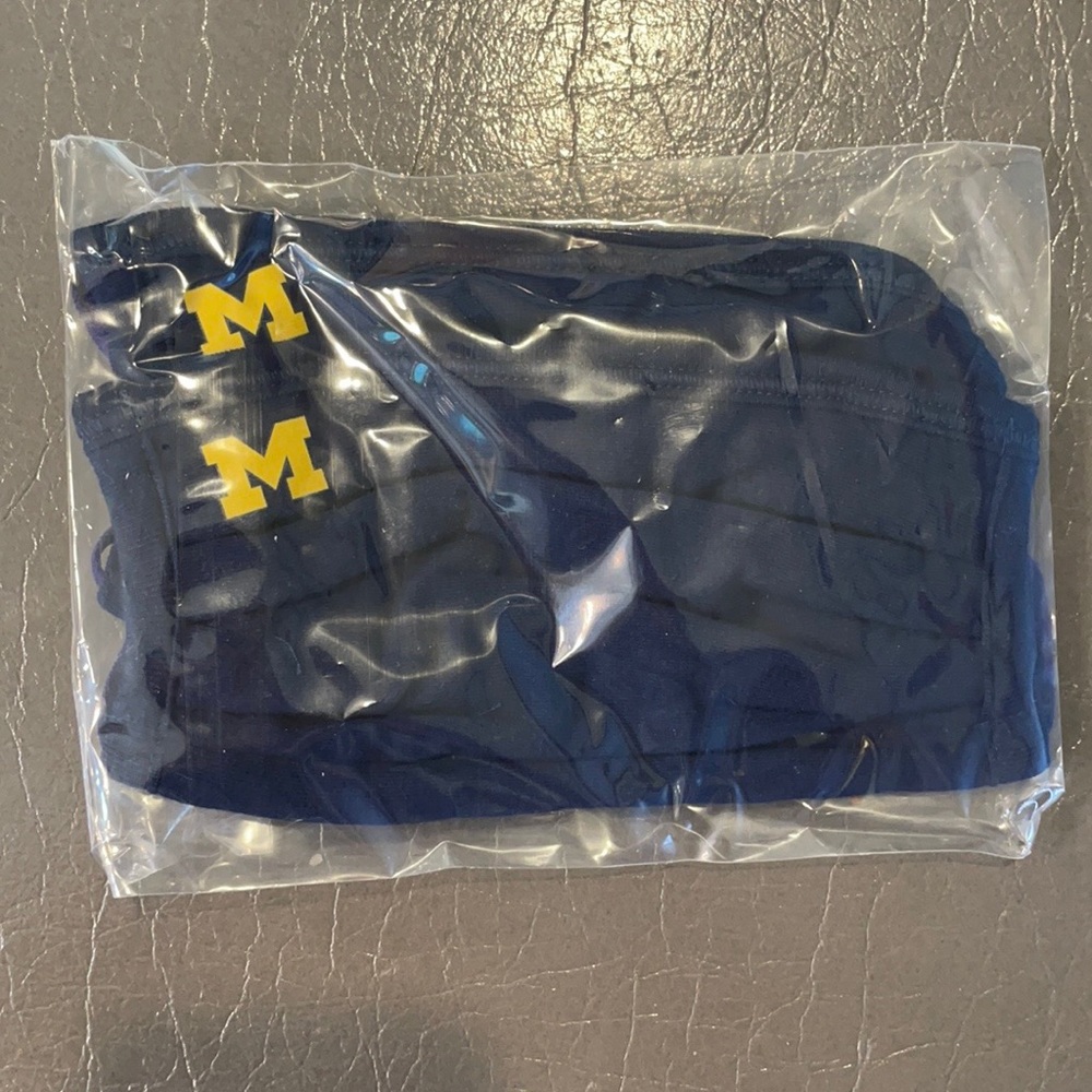 Set of 2 Michigan masks